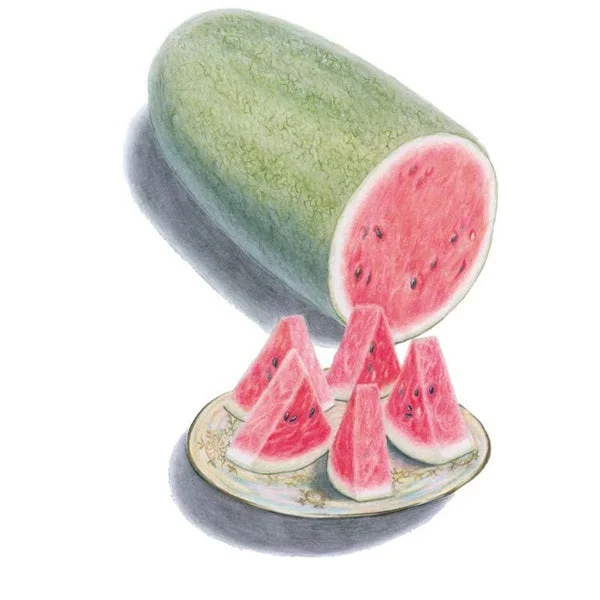 Charleston Gray Watermelon Seed